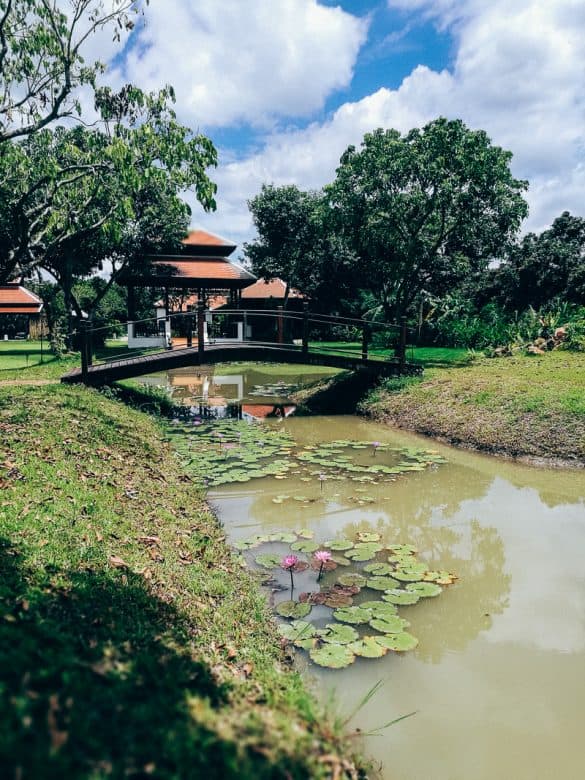 Curso de cocina en Tailandia 6