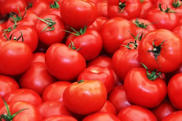 Tomates maduros o jitomate