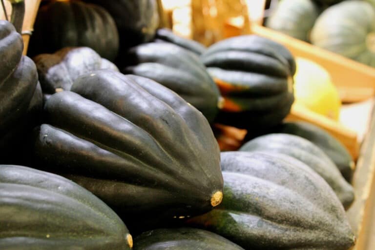 Tipos De Calabazas - Cómo Escogerlas Y Usarlas En La Cocina