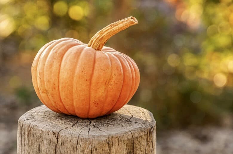 Tipos De Calabazas - Cómo Escogerlas Y Usarlas En La Cocina