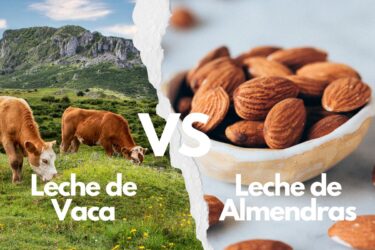Leche de Vaca vs. Leche de Almendra | Verdades y Mitos
