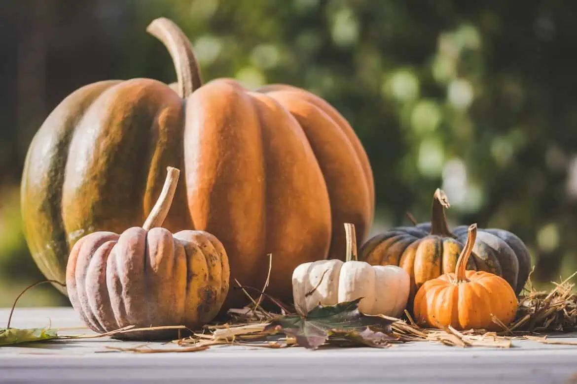 Calabaza propiedades beneficios