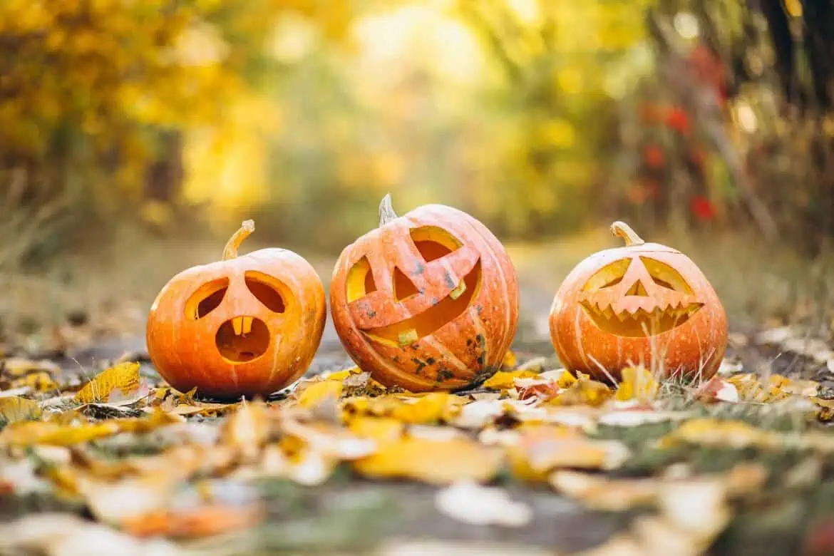 Cómo escoger una calabaza para Halloween