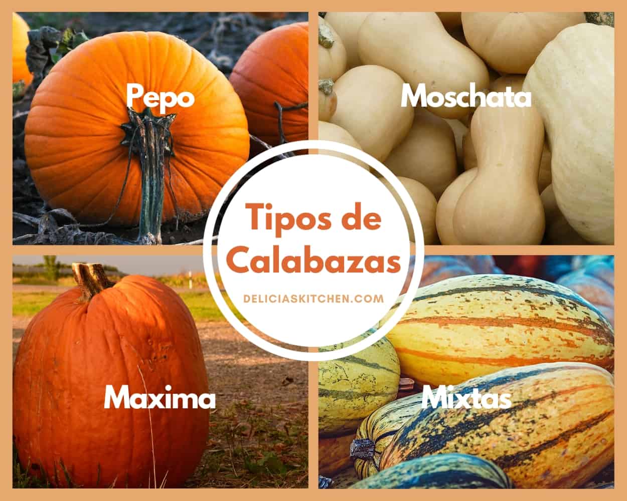 Principales tipos de calabazas