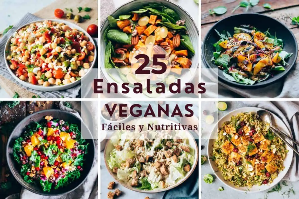 Ensaladas veganas fáciles y nutritivas